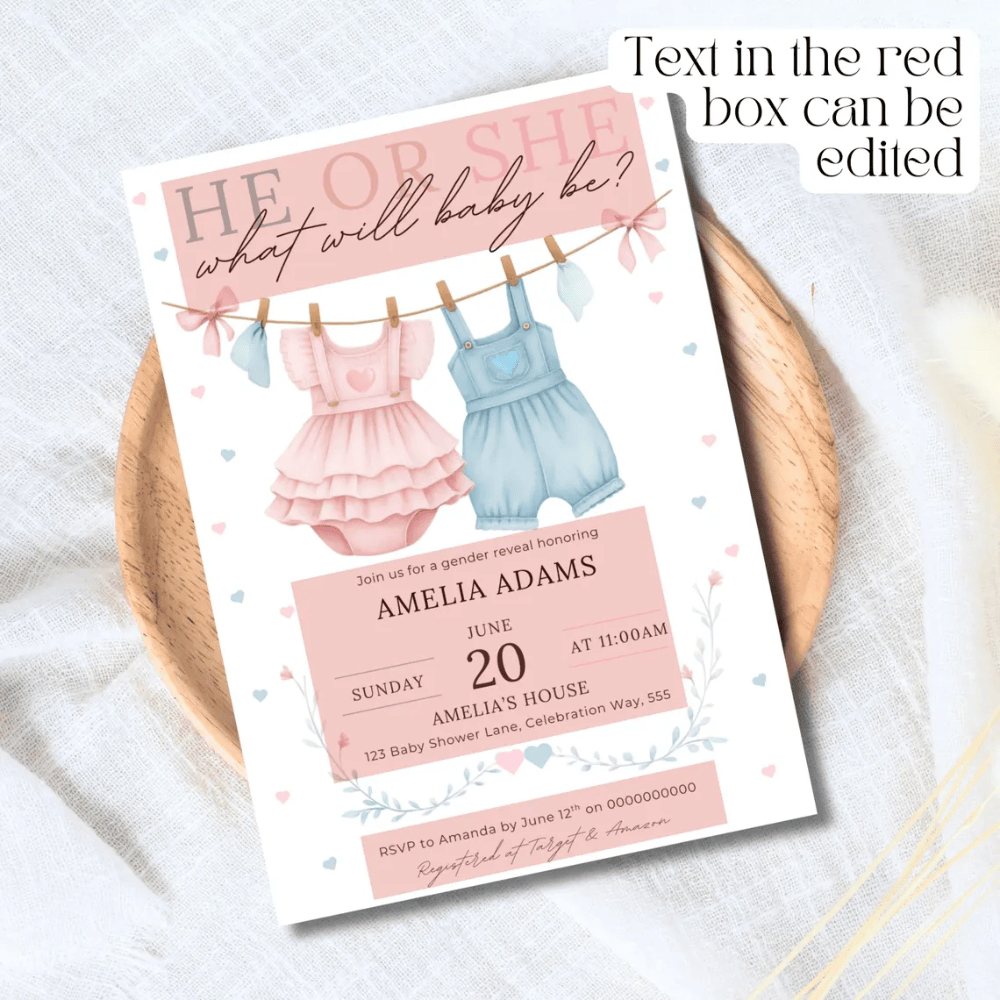 Printed Gender Reveal Invitations | He or She What Will Baby Be? | Watercolor Clothesline Invite | Pink & Blue Baby Shower Cards with Envelopes